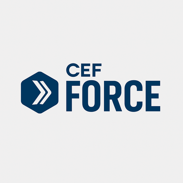 CEF FORCE™ – Enabling Business Success through Strategic Cybersecurity Leadership